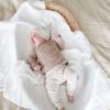 Babybroekje streep beige ecru neutraal - Afbeelding 3